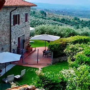 Bed and Breakfast Casa Della Noce, Βίντσι