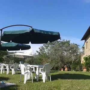 Le Mimose Vinci